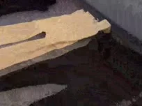 Le mutande sembrano sempre belle