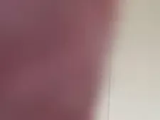 AriaCali 85