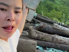Lindanbeo00 30